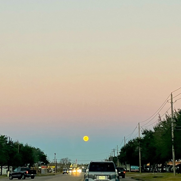 Meet your Posher, Meg💚 - Picture 1 of 11